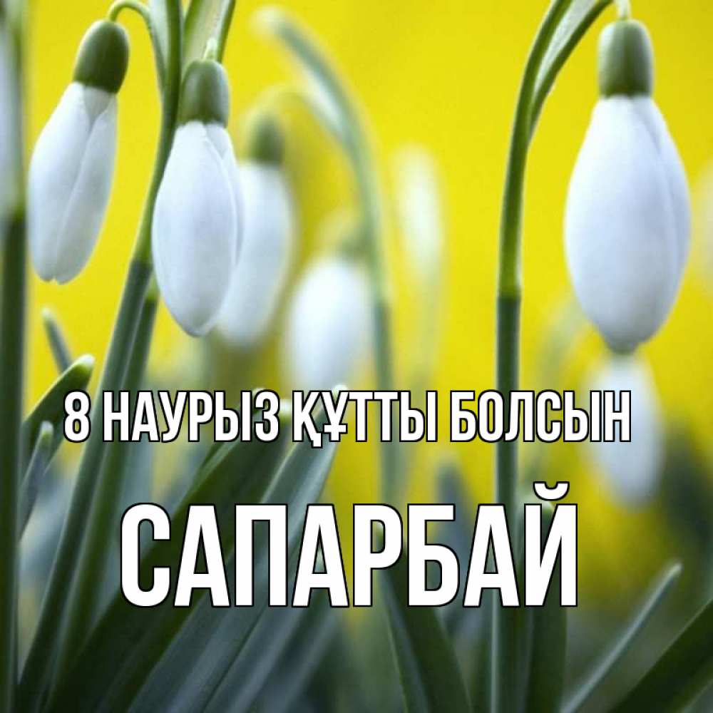 Күн сайын ашық хат с именем, САПАРБАЙ 8 наурыз құтты болсын весенние цветы Онлайн тегін жүктеп алу тілектері бар керемет карта 