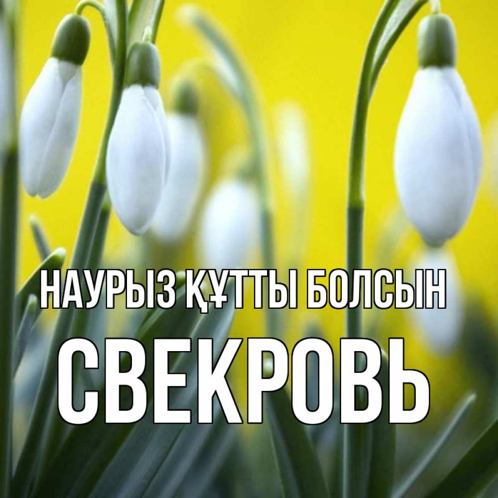 Күн сайын ашық хат с именем, Свекровь Наурыз құтты болсын весенние цветы Онлайн тегін жүктеп алу тілектері бар керемет карта 