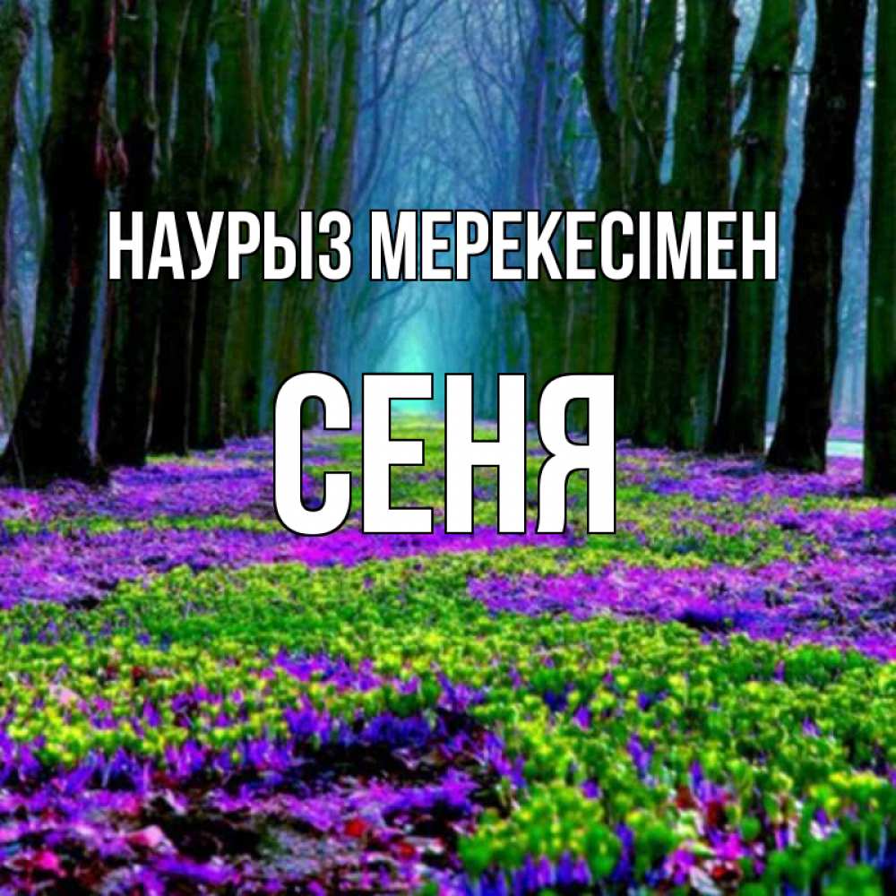 Күн сайын ашық хат с именем, Сеня Наурыз мерекесімен фиолетовые цветы в лесу 1 Онлайн тегін жүктеп алу тілектері бар керемет карта 