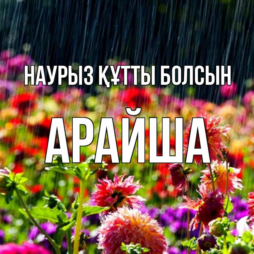 Күн сайын ашық хат с именем, АРАЙША Наурыз құтты болсын цветы под дождиком к наурызу Онлайн тегін жүктеп алу тілектері бар керемет карта 