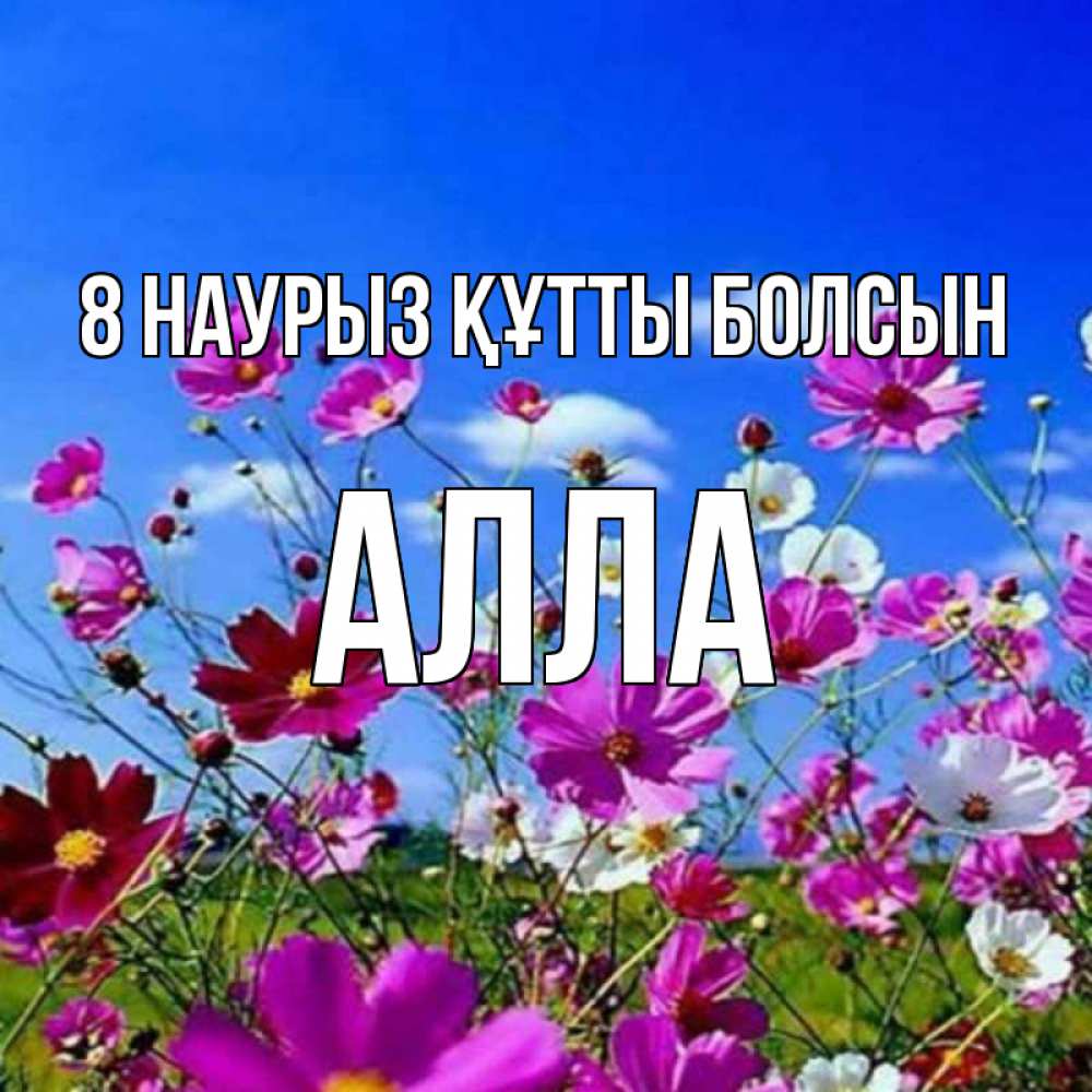 Күн сайын ашық хат с именем, Алла 8 наурыз құтты болсын цветы Онлайн тегін жүктеп алу тілектері бар керемет карта 