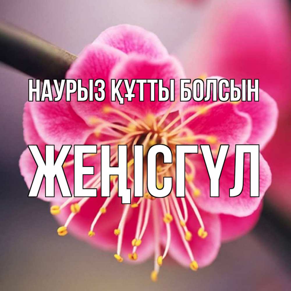 Күн сайын ашық хат с именем, ЖЕҢІСГҮЛ Наурыз құтты болсын цветы Онлайн тегін жүктеп алу тілектері бар керемет карта 