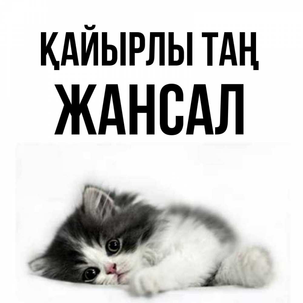 Күн сайын ашық хат с именем, Жансал Қайырлы таң кот лапки Онлайн тегін жүктеп алу тілектері бар керемет карта 