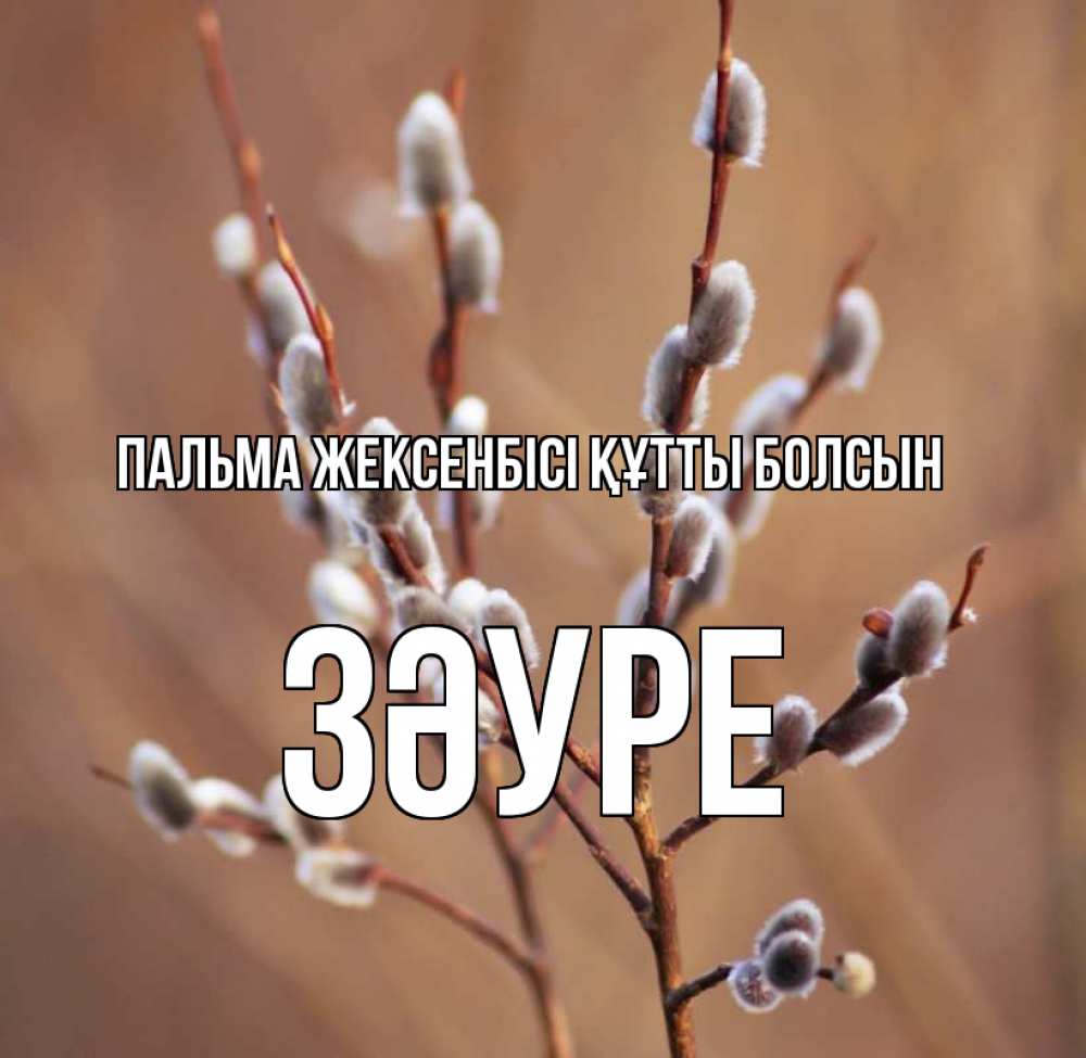 Күн сайын ашық хат с именем, ЗӘУРЕ Пальма жексенбісі құтты болсын верба Онлайн тегін жүктеп алу тілектері бар керемет карта 