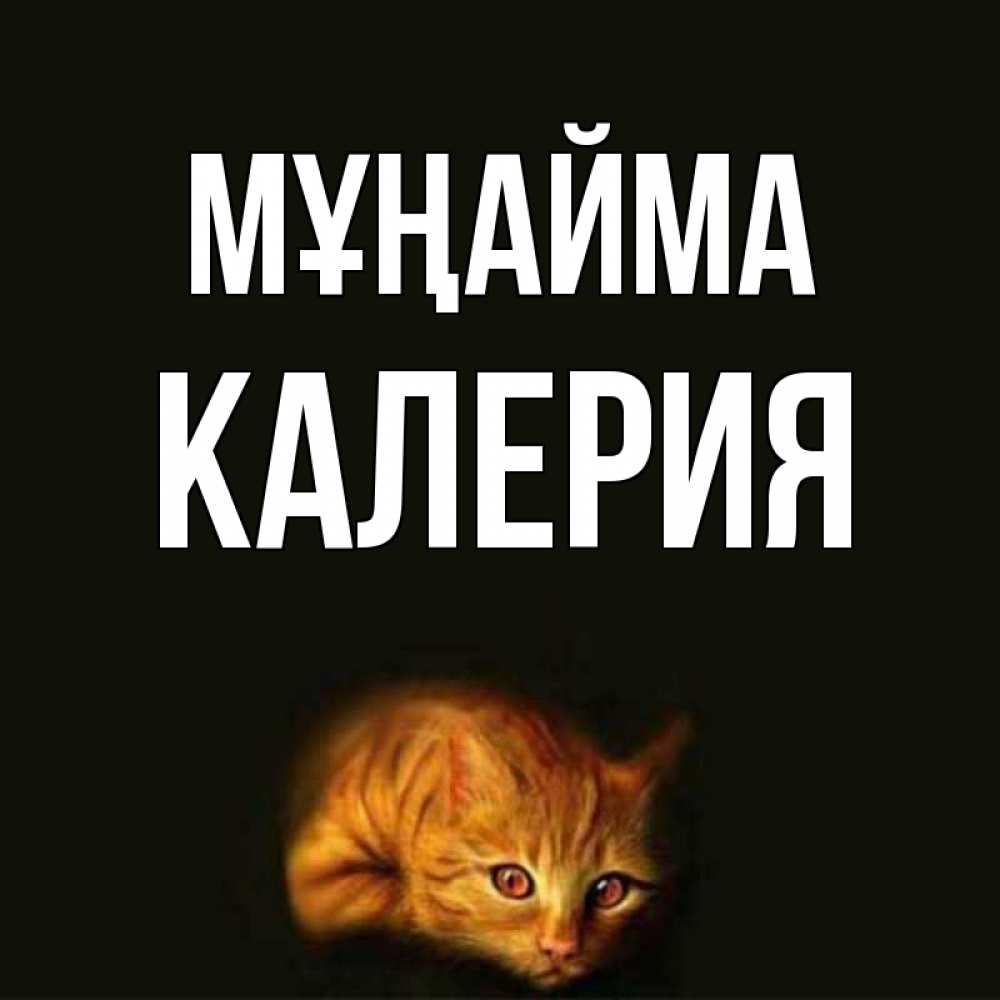 Күн сайын ашық хат с именем, Калерия Мұңайма лежащий кот в темноте Онлайн тегін жүктеп алу тілектері бар керемет карта 
