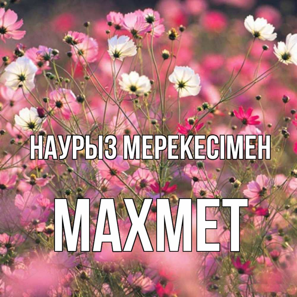 Күн сайын ашық хат с именем, МАХМЕТ Наурыз мерекесімен красиво 1 Онлайн тегін жүктеп алу тілектері бар керемет карта 