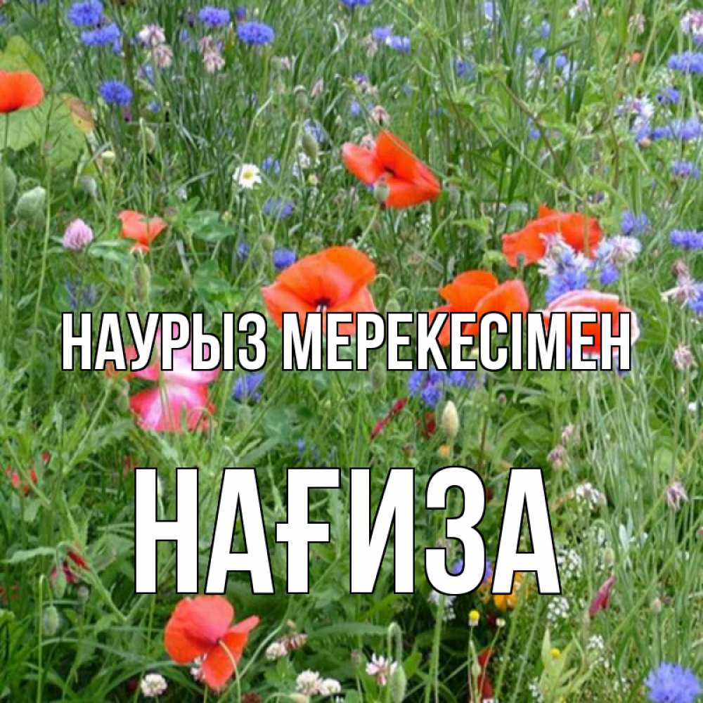 Күн сайын ашық хат с именем, НАҒИЗА Наурыз мерекесімен праздник весны наурыз супер открытка Онлайн тегін жүктеп алу тілектері бар керемет карта 