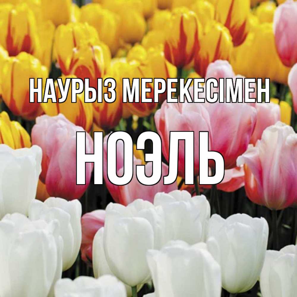 Күн сайын ашық хат с именем, НОЭЛЬ Наурыз мерекесімен разноцветные цветы Онлайн тегін жүктеп алу тілектері бар керемет карта 