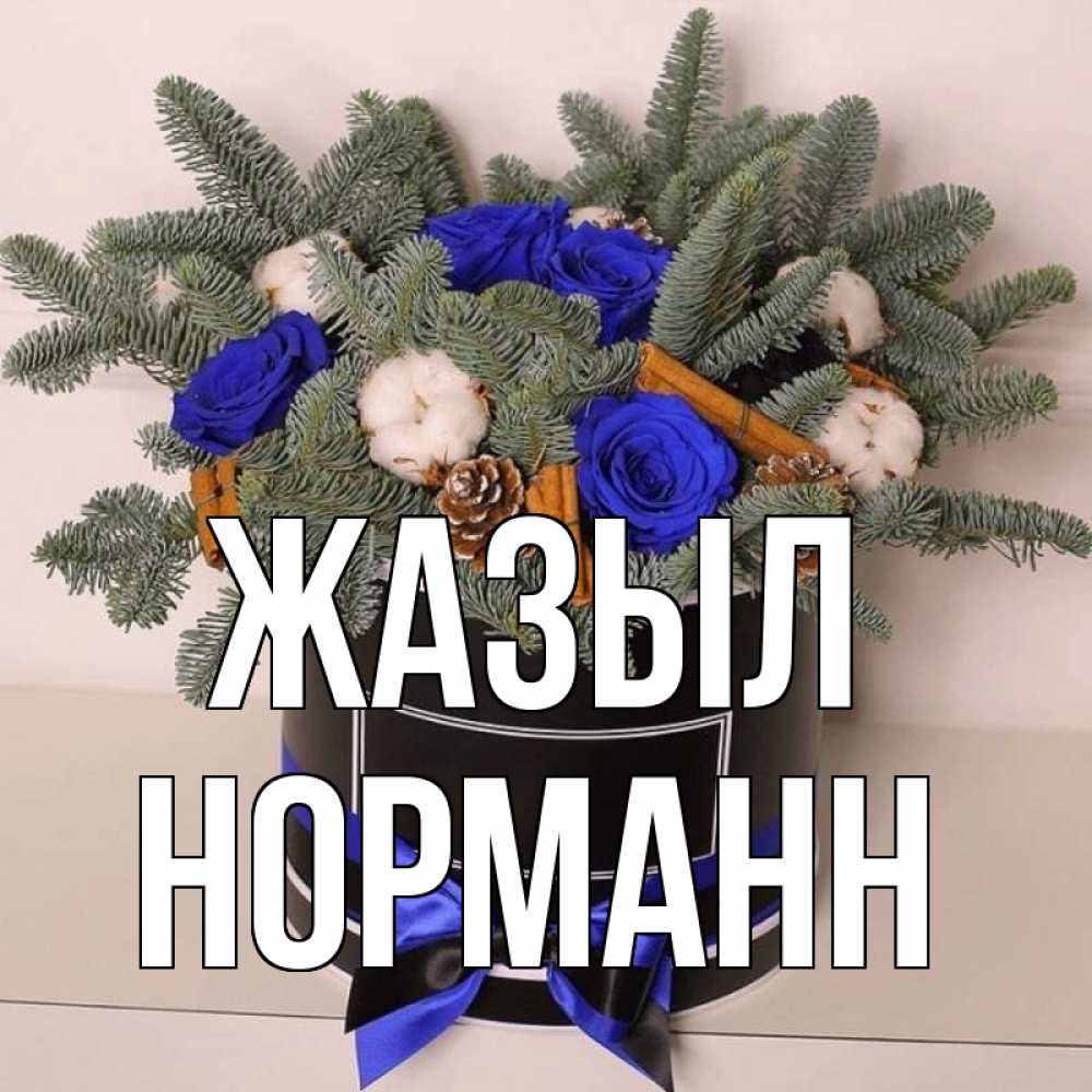 Күн сайын ашық хат с именем, Норманн Жазыл короче кто то загрузил эти шишки Онлайн тегін жүктеп алу тілектері бар керемет карта 