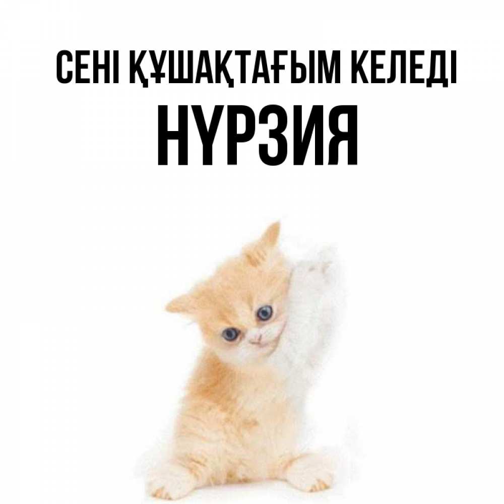 Күн сайын ашық хат с именем, НҮРЗИЯ сені құшақтағым келеді я хочу очень скорее обнимаешек Онлайн тегін жүктеп алу тілектері бар керемет карта 