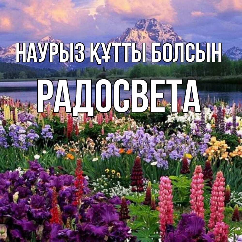 Күн сайын ашық хат с именем, Радосвета Наурыз құтты болсын наурыз Онлайн тегін жүктеп алу тілектері бар керемет карта 