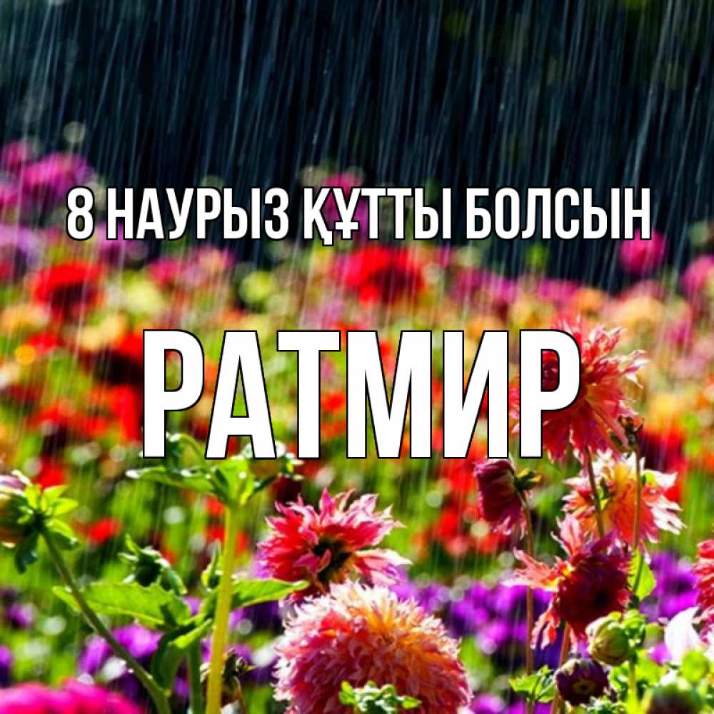 Күн сайын ашық хат с именем, Ратмир 8 наурыз құтты болсын цветы под дождиком к международному женскому дню Онлайн тегін жүктеп алу тілектері бар керемет карта 