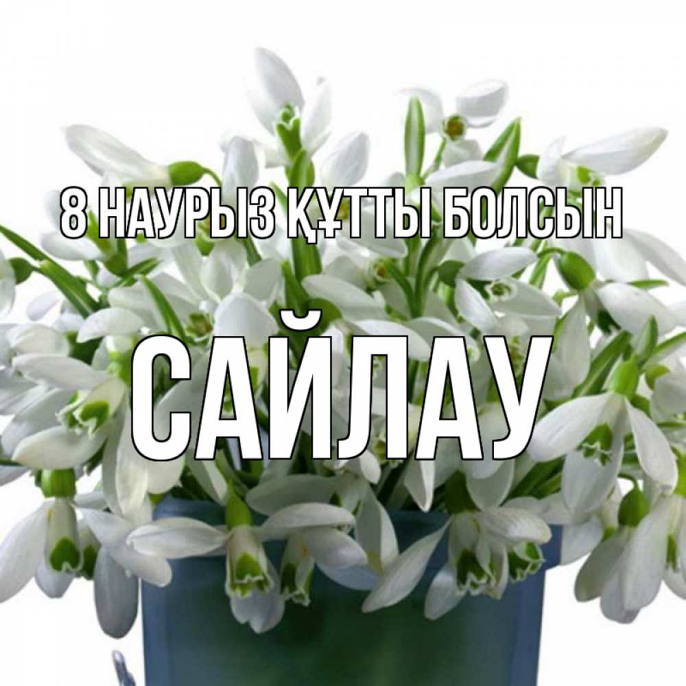 Күн сайын ашық хат с именем, САЙЛАУ 8 наурыз құтты болсын цветы к международному женскому дню Онлайн тегін жүктеп алу тілектері бар керемет карта 