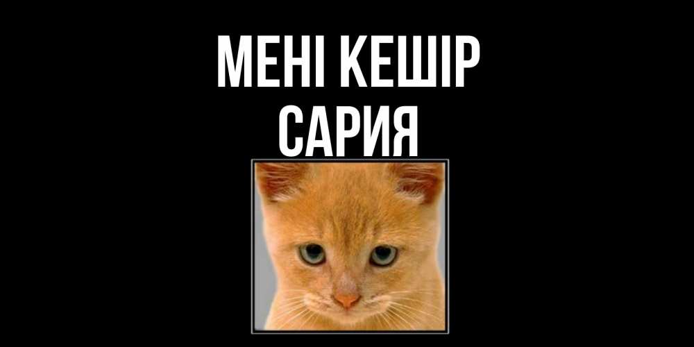 Күн сайын ашық хат с именем, САРИЯ Мені кешір рыжий грустный кот просит прощения Онлайн тегін жүктеп алу тілектері бар керемет карта 