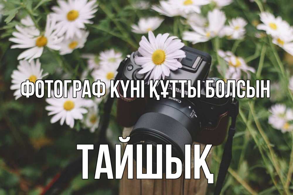 Күн сайын ашық хат с именем, ТАЙШЫҚ Фотограф күні құтты болсын с днем фотографа Онлайн тегін жүктеп алу тілектері бар керемет карта 