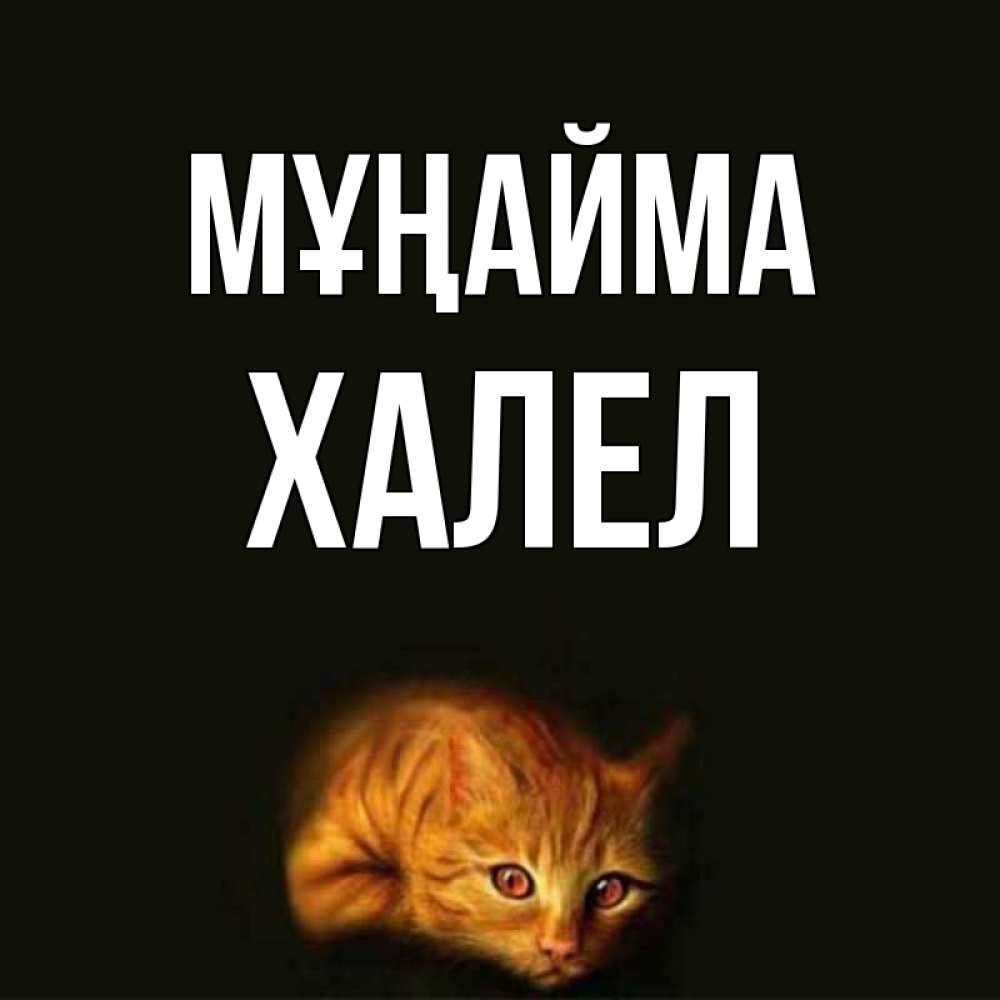 Күн сайын ашық хат с именем, ХАЛЕЛ Мұңайма лежащий кот в темноте Онлайн тегін жүктеп алу тілектері бар керемет карта 