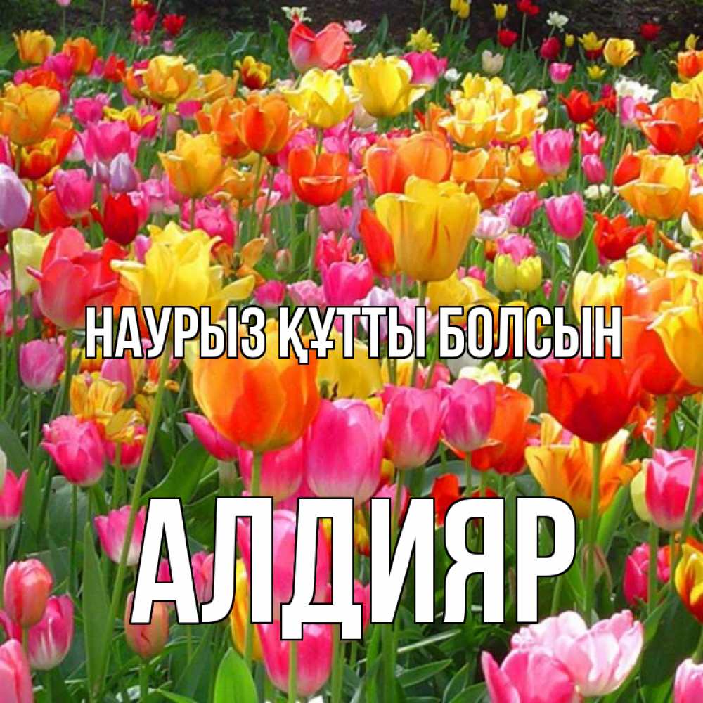 Күн сайын ашық хат с именем, Алдияр Наурыз құтты болсын на наурыз  ура ура Онлайн тегін жүктеп алу тілектері бар керемет карта 