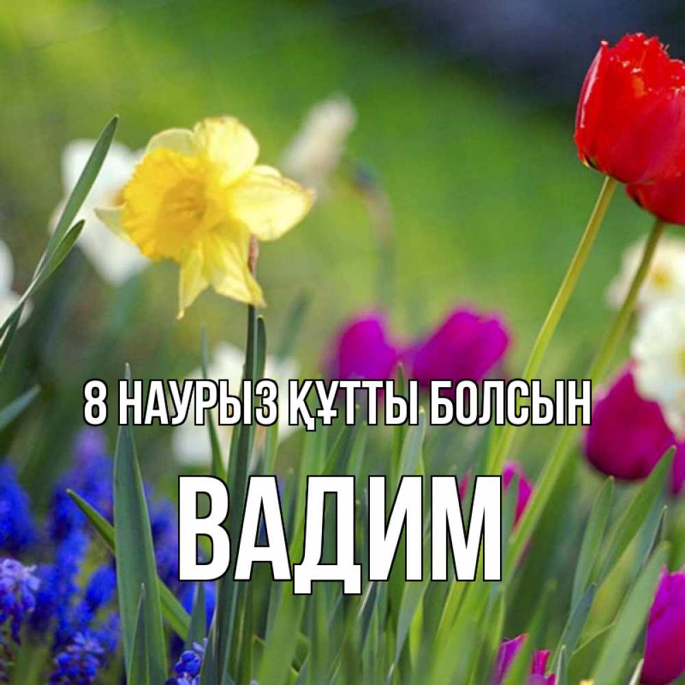 Күн сайын ашық хат с именем, Вадим 8 наурыз құтты болсын международный женский день 3 Онлайн тегін жүктеп алу тілектері бар керемет карта 
