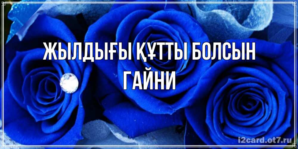 Күн сайын ашық хат с именем, ГАЙНИ Жылдығы құтты болсын синие розы в росе Онлайн тегін жүктеп алу тілектері бар керемет карта 