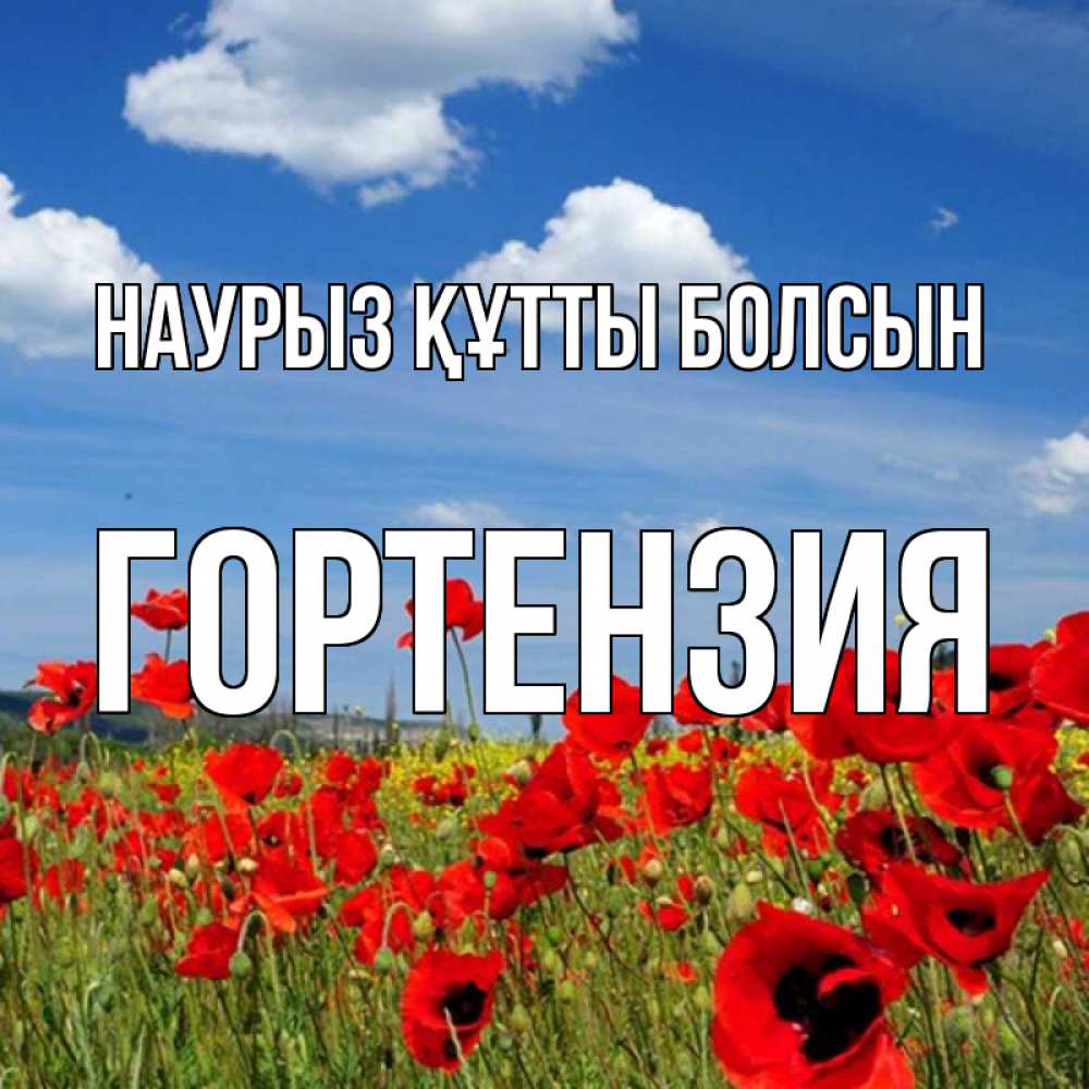 Күн сайын ашық хат с именем, Гортензия Наурыз құтты болсын наурыз  день 1 Онлайн тегін жүктеп алу тілектері бар керемет карта 