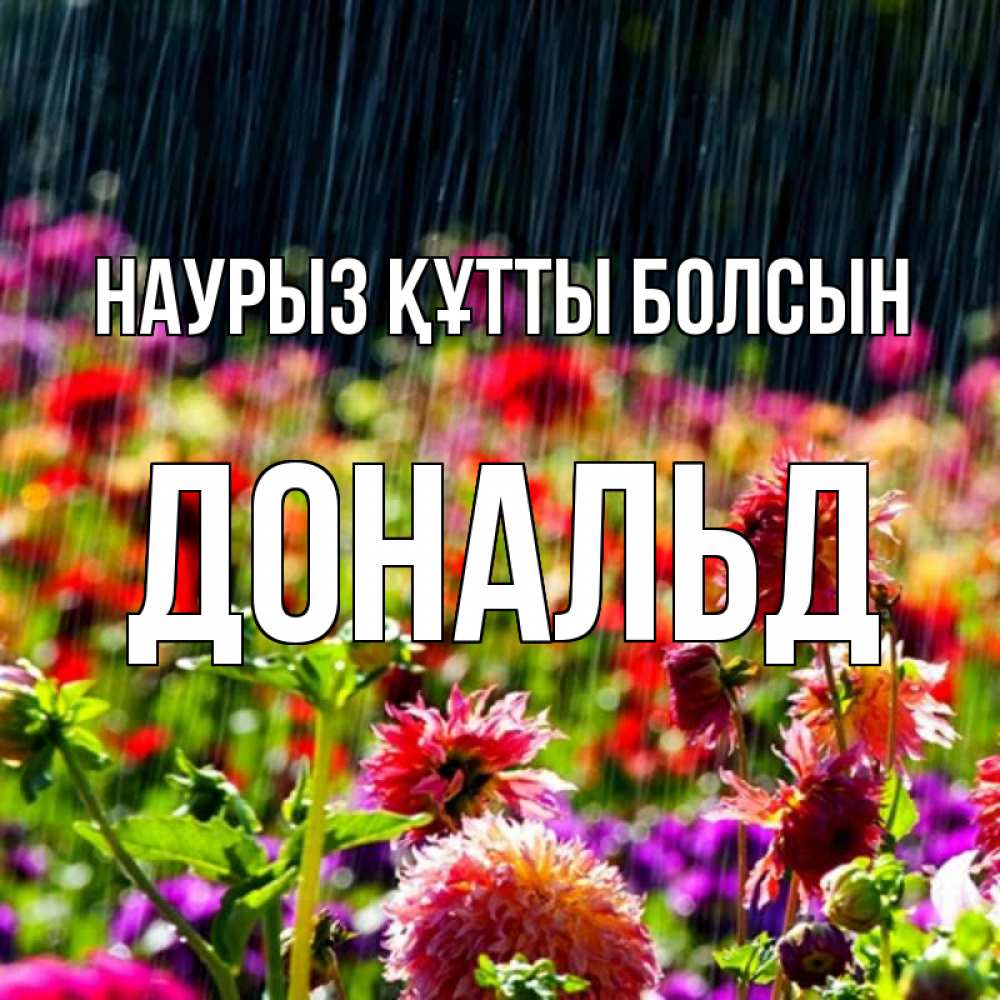 Күн сайын ашық хат с именем, Дональд Наурыз құтты болсын цветы под дождиком к наурызу Онлайн тегін жүктеп алу тілектері бар керемет карта 