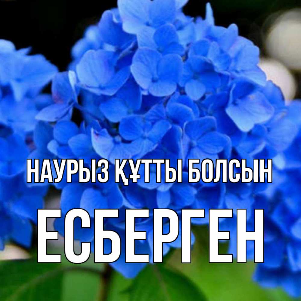 Күн сайын ашық хат с именем, Есберген Наурыз құтты болсын синие цветы Онлайн тегін жүктеп алу тілектері бар керемет карта 