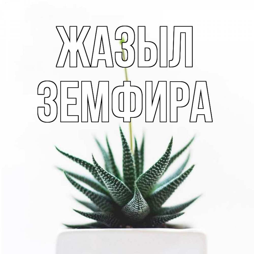 Күн сайын ашық хат с именем, ЗЕМФИРА Жазыл короче это непонятная колючка Онлайн тегін жүктеп алу тілектері бар керемет карта 