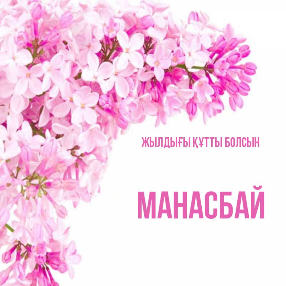 Күн сайын ашық хат с именем, МАНАСБАЙ Жылдығы құтты болсын Сирень на белом фоне Онлайн тегін жүктеп алу тілектері бар керемет карта 