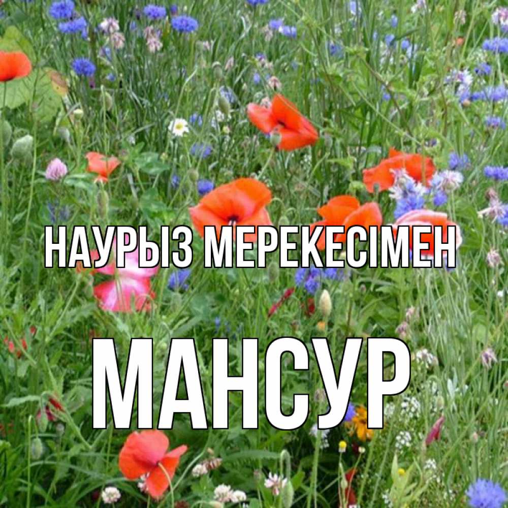 Күн сайын ашық хат с именем, Мансур Наурыз мерекесімен праздник весны наурыз супер открытка Онлайн тегін жүктеп алу тілектері бар керемет карта 