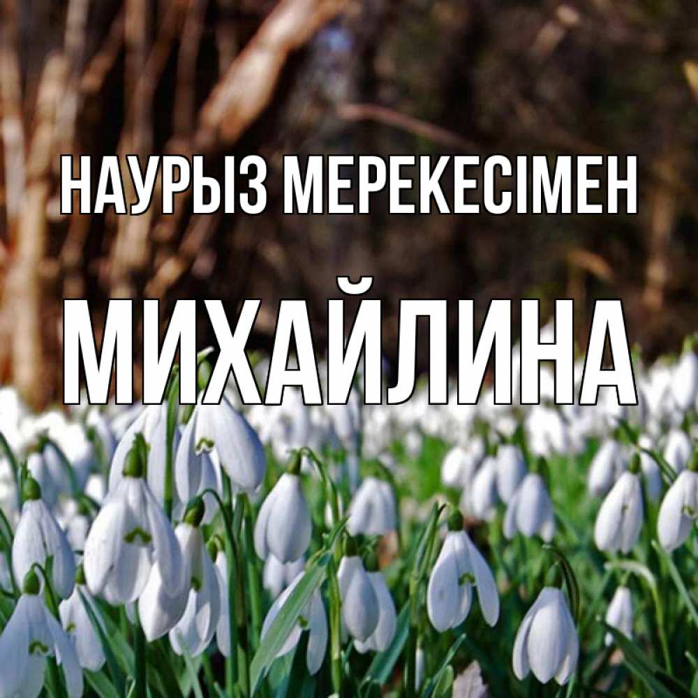 Күн сайын ашық хат с именем, Михайлина Наурыз мерекесімен с подснежниками 1 Онлайн тегін жүктеп алу тілектері бар керемет карта 