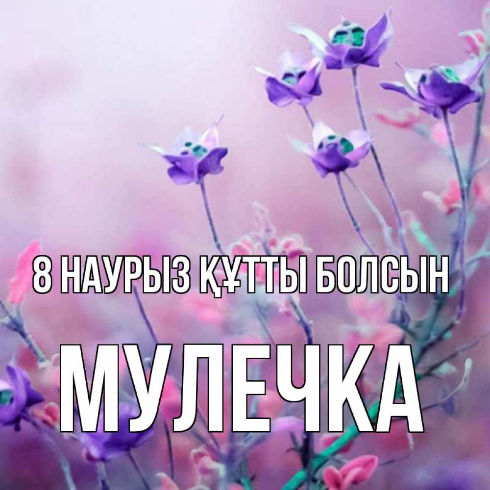 Күн сайын ашық хат с именем, Мулечка 8 наурыз құтты болсын международный женский день 2 Онлайн тегін жүктеп алу тілектері бар керемет карта 
