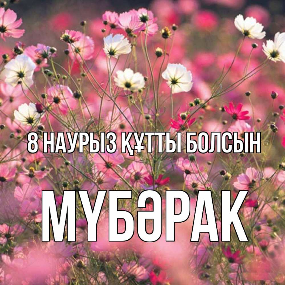 Күн сайын ашық хат с именем, МҮБӘРАК 8 наурыз құтты болсын красиво 1 Онлайн тегін жүктеп алу тілектері бар керемет карта 