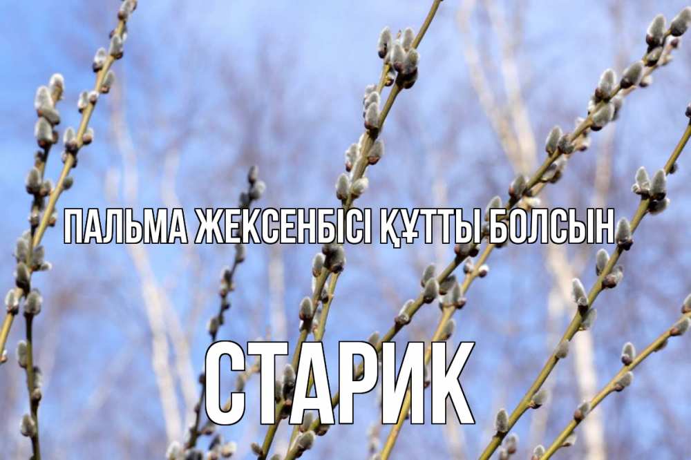 Күн сайын ашық хат с именем, Старик Пальма жексенбісі құтты болсын верба Онлайн тегін жүктеп алу тілектері бар керемет карта 