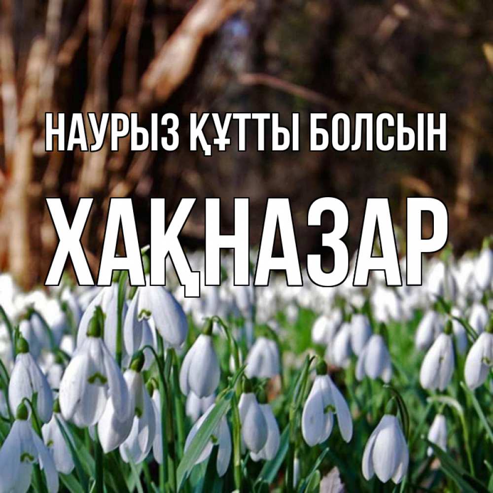 Күн сайын ашық хат с именем, ХАҚНАЗАР Наурыз құтты болсын с подснежниками 1 Онлайн тегін жүктеп алу тілектері бар керемет карта 