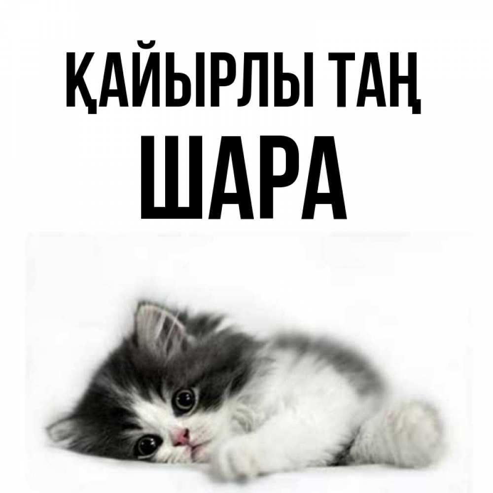 Күн сайын ашық хат с именем, ШАРА Қайырлы таң кот лапки Онлайн тегін жүктеп алу тілектері бар керемет карта 