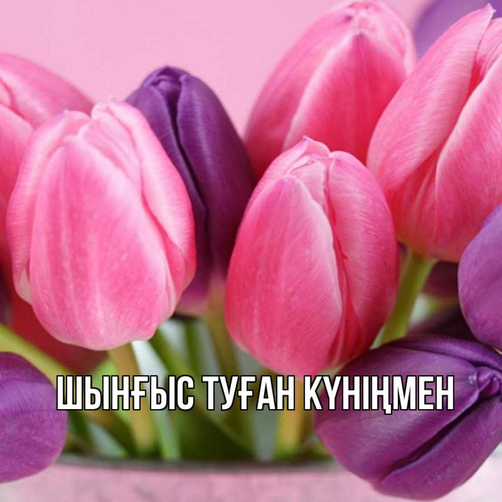 Картинка  с именем , ШЫНҒЫС! ТУҒАН КҮНІҢМЕН!