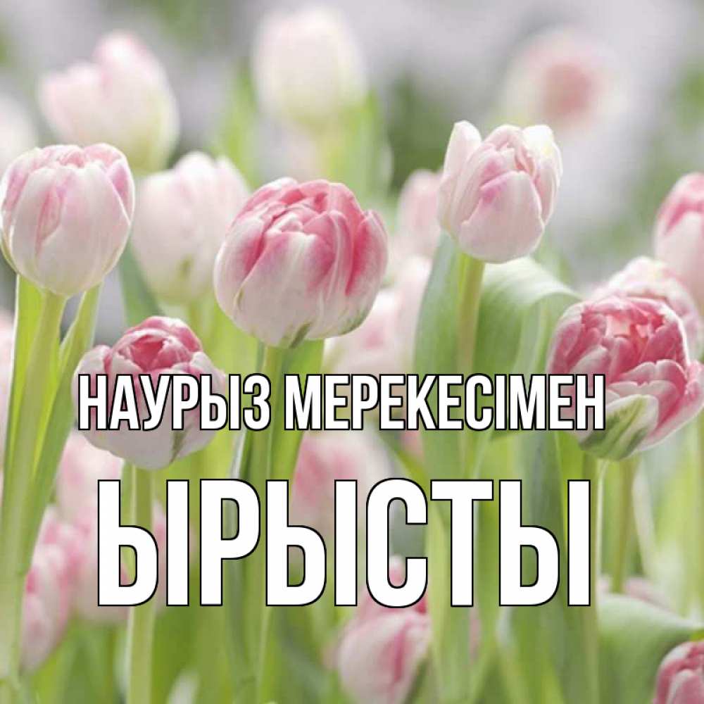Күн сайын ашық хат с именем, ЫРЫСТЫ Наурыз мерекесімен цветы Онлайн тегін жүктеп алу тілектері бар керемет карта 