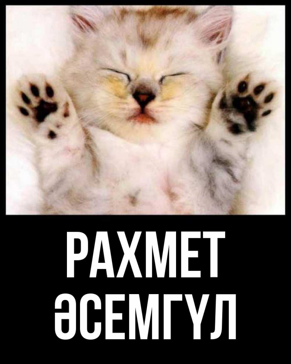 Күн сайын ашық хат с именем, ӘСЕМГҮЛ рахмет маленький котенок Онлайн тегін жүктеп алу тілектері бар керемет карта 