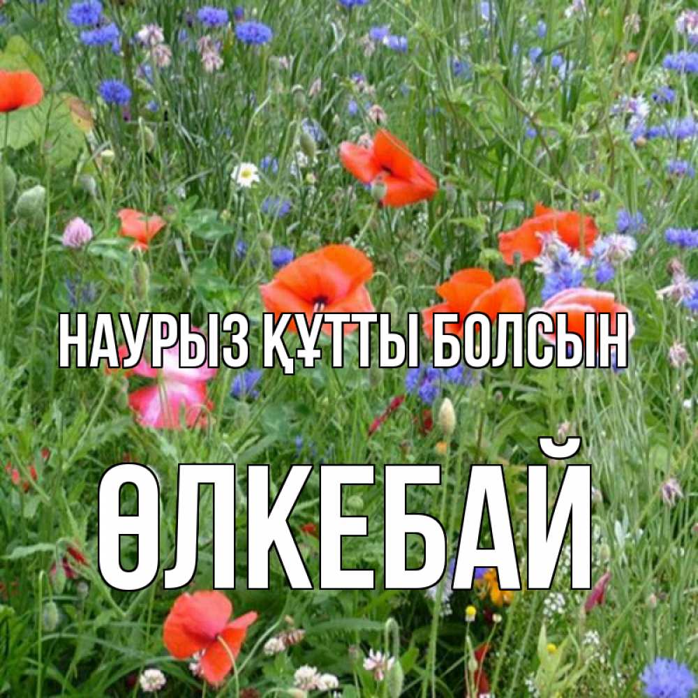 Күн сайын ашық хат с именем, ӨЛКЕБАЙ Наурыз құтты болсын наурыз  4 Онлайн тегін жүктеп алу тілектері бар керемет карта 