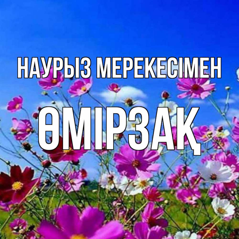 Күн сайын ашық хат с именем, ӨМІРЗАҚ Наурыз мерекесімен цветы Онлайн тегін жүктеп алу тілектері бар керемет карта 