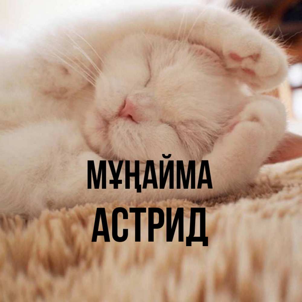 Күн сайын ашық хат с именем, Астрид Мұңайма Котенок спит Онлайн тегін жүктеп алу тілектері бар керемет карта 