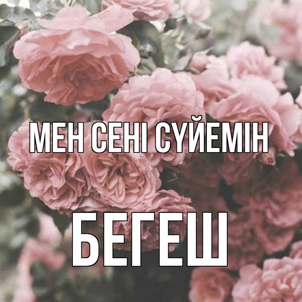 Күн сайын ашық хат с именем, Бегеш Мен сені сүйемін розы 3 Онлайн тегін жүктеп алу тілектері бар керемет карта 
