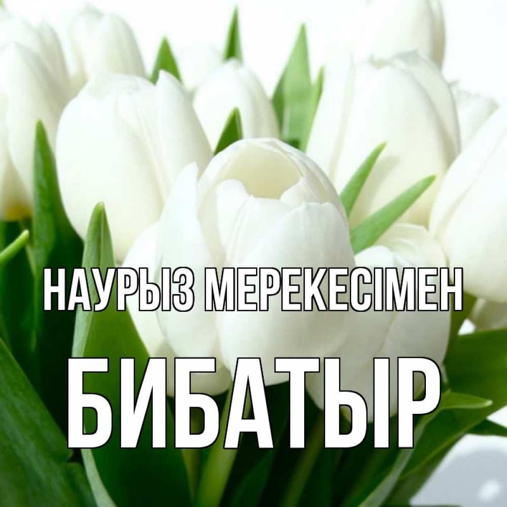 Күн сайын ашық хат с именем, Бибатыр Наурыз мерекесімен цветы Онлайн тегін жүктеп алу тілектері бар керемет карта 