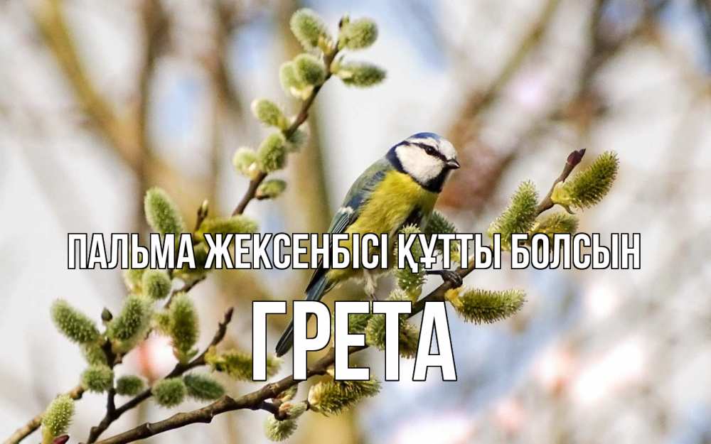 Күн сайын ашық хат с именем, Грета Пальма жексенбісі құтты болсын верба Онлайн тегін жүктеп алу тілектері бар керемет карта 