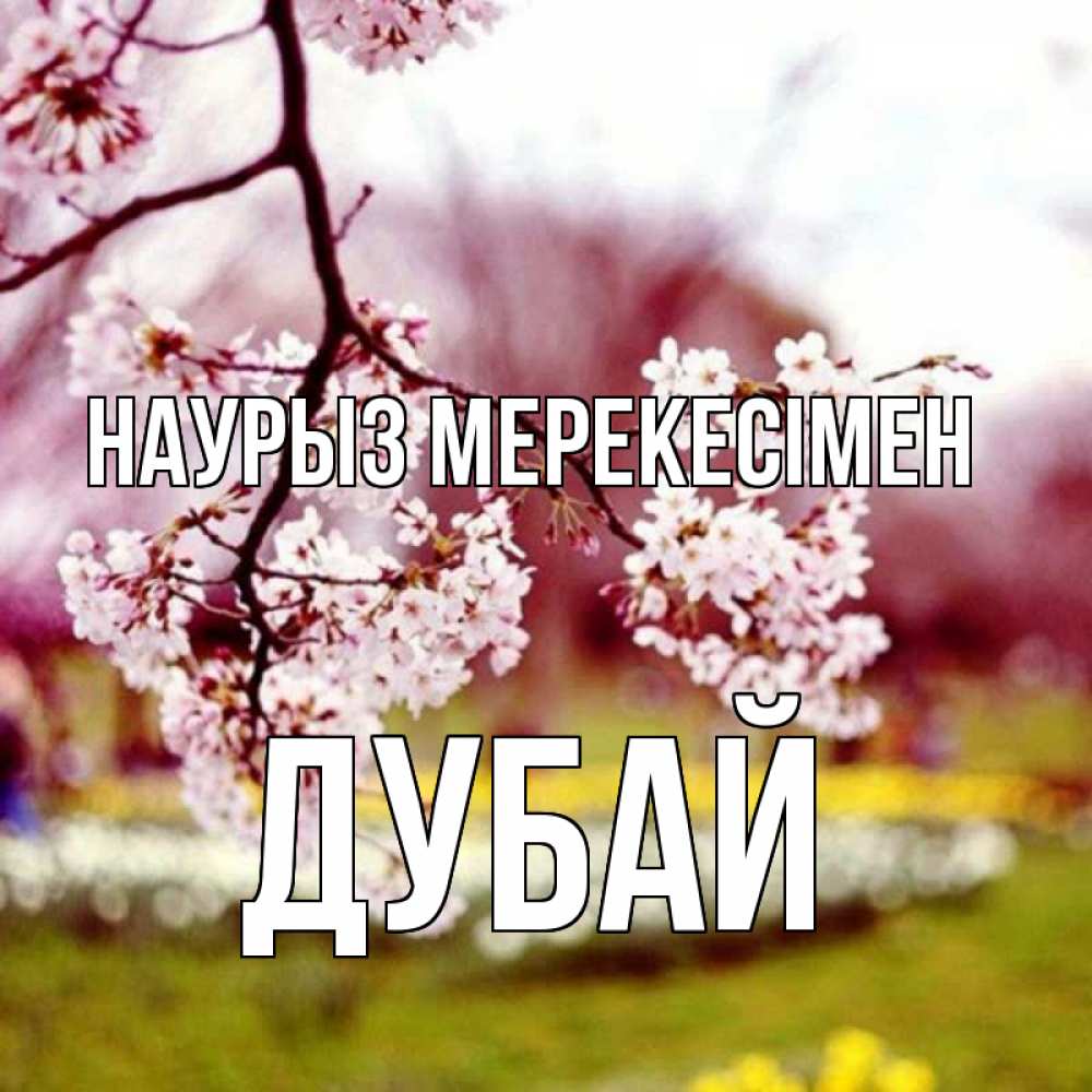 Күн сайын ашық хат с именем, Дубай Наурыз мерекесімен яблоня Онлайн тегін жүктеп алу тілектері бар керемет карта 