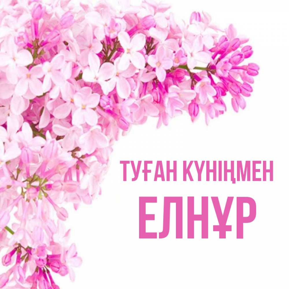 Күн сайын ашық хат с именем, Елнұр Туған күніңмен Сирень на белом фоне Онлайн тегін жүктеп алу тілектері бар керемет карта 