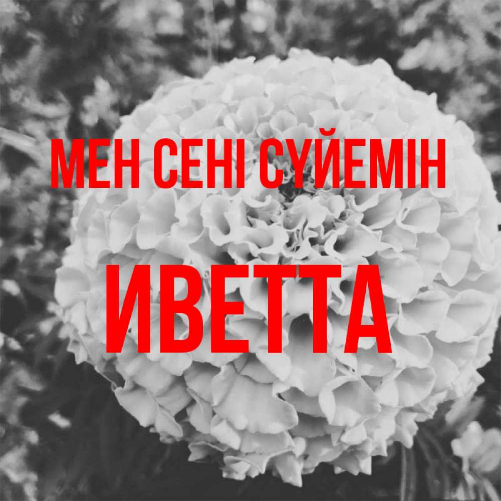 Күн сайын ашық хат с именем, Иветта Мен сені сүйемін подпись Онлайн тегін жүктеп алу тілектері бар керемет карта 