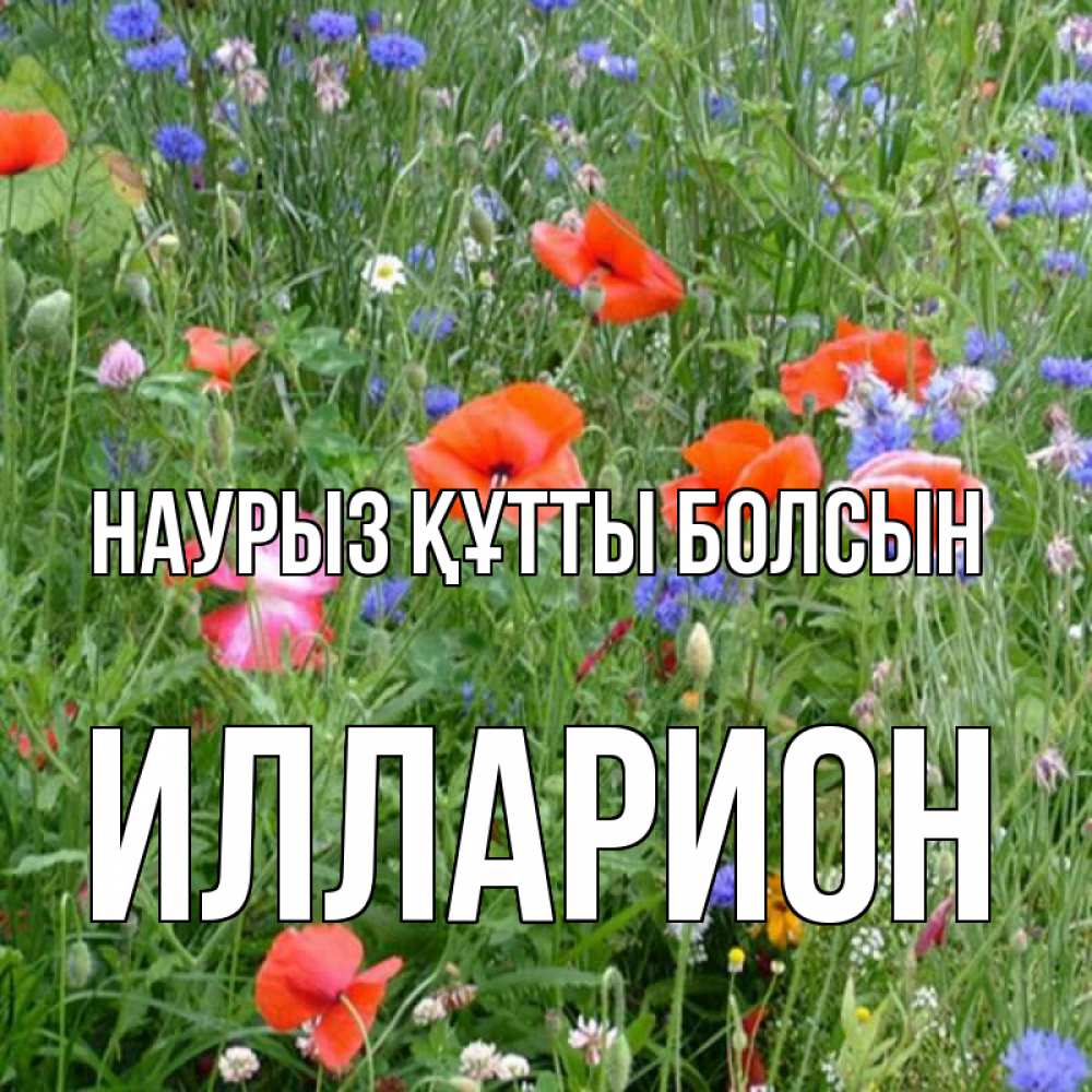 Күн сайын ашық хат с именем, Илларион Наурыз құтты болсын наурыз  4 Онлайн тегін жүктеп алу тілектері бар керемет карта 