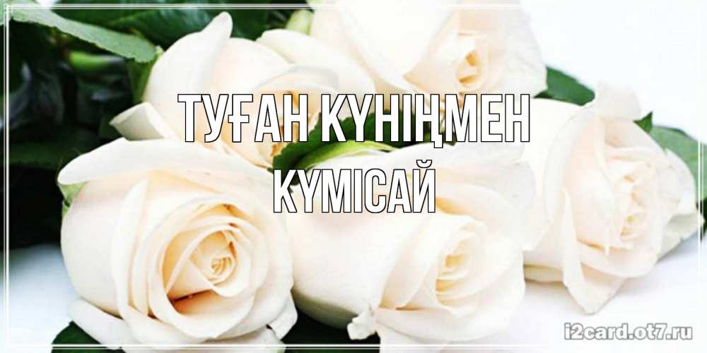 Күн сайын ашық хат с именем, КҮМІСАЙ Туған күніңмен открытка с красивыми белыми розами для родных Онлайн тегін жүктеп алу тілектері бар керемет карта 