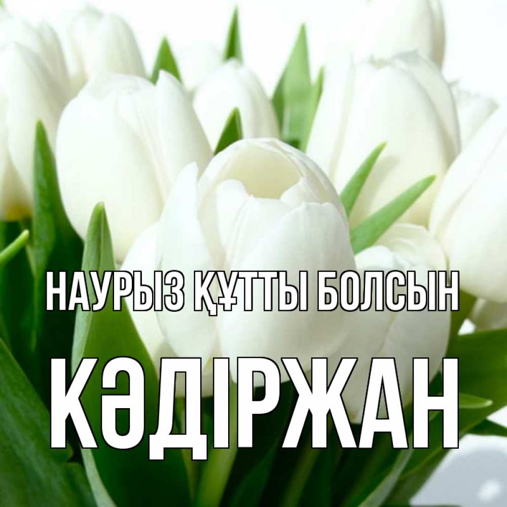 Күн сайын ашық хат с именем, Кәдіржан Наурыз құтты болсын цветы Онлайн тегін жүктеп алу тілектері бар керемет карта 